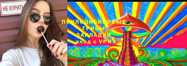 тгк Верея